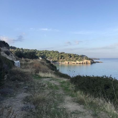 הוילה איזמיר Tiny House Framed By Nature Near Sea In Karaburun מראה חיצוני תמונה