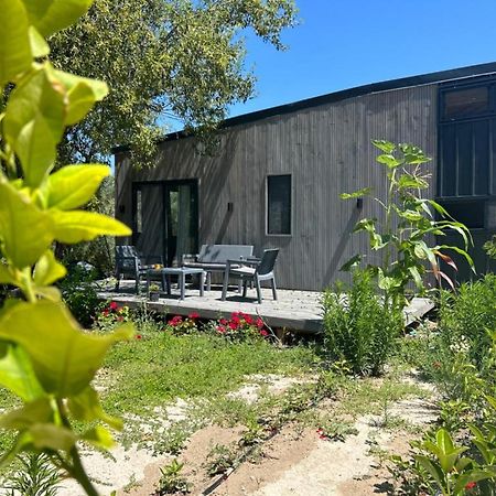 הוילה איזמיר Tiny House Framed By Nature Near Sea In Karaburun מראה חיצוני תמונה